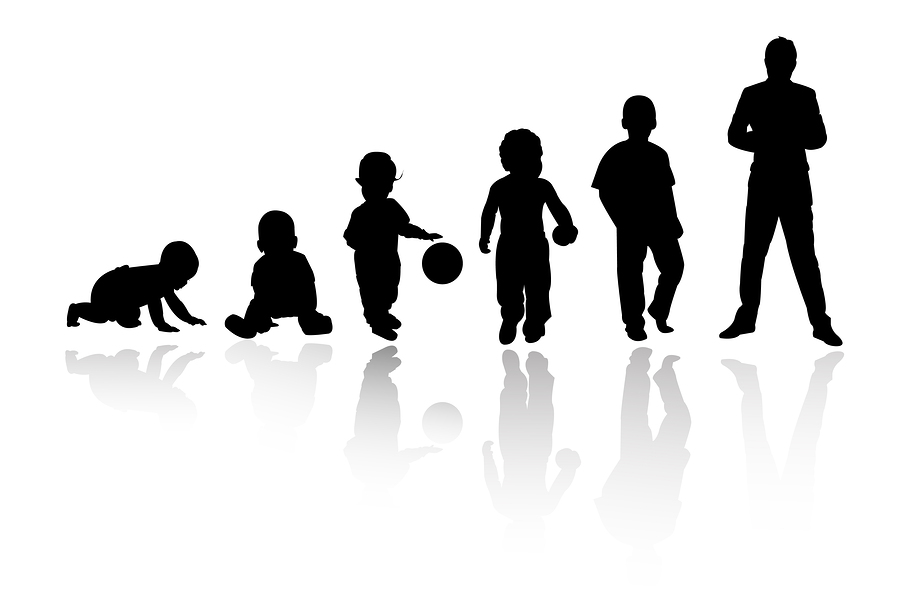 stages_of_development
